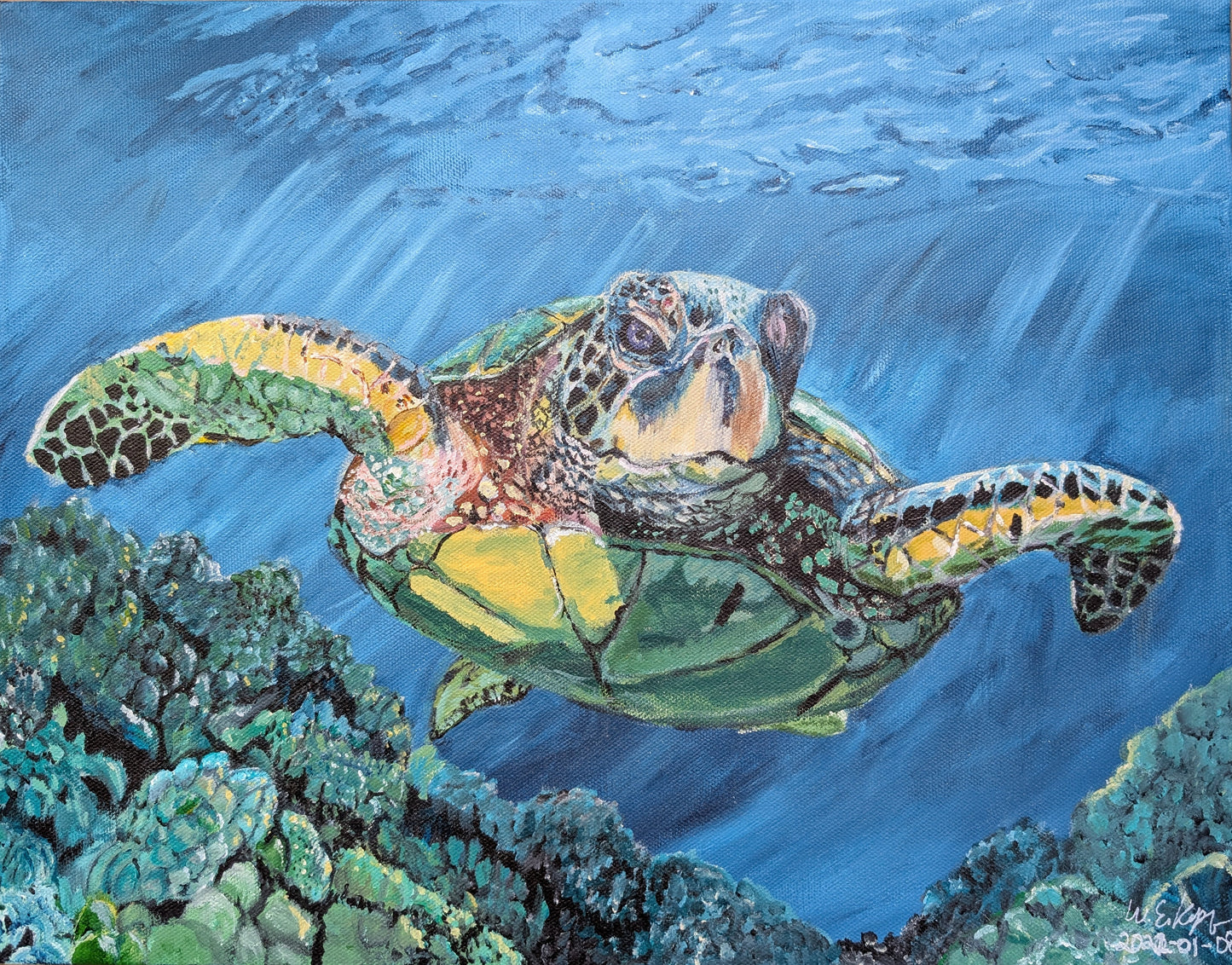 Original Sea Turtle Painting - Acrylic on Canvas