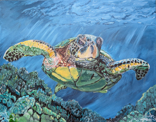 Original Sea Turtle Painting - Acrylic on Canvas